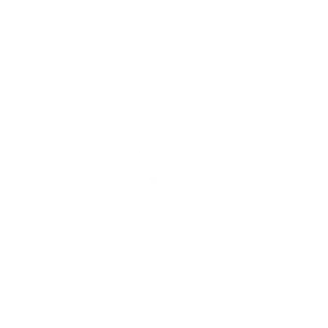 White Logo-03