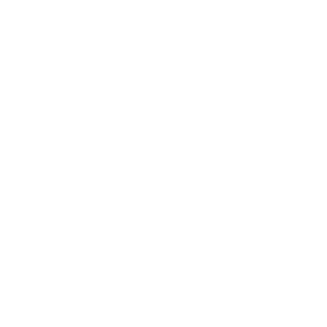 White Logo-11